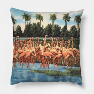 Hialeah Park, Miami, Florida postcard Pillow