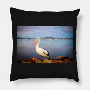 Pelican portrait Pillow