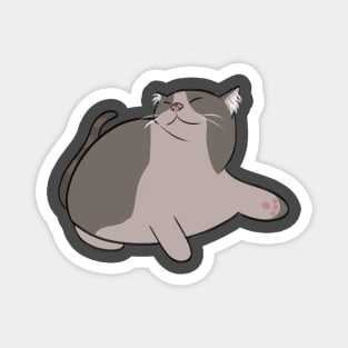 Chonky cat relaxing Magnet