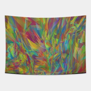 Abstract Geometric Line Pattern Tapestry