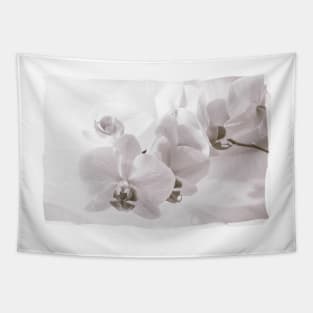 White Orchid Flower Tapestry