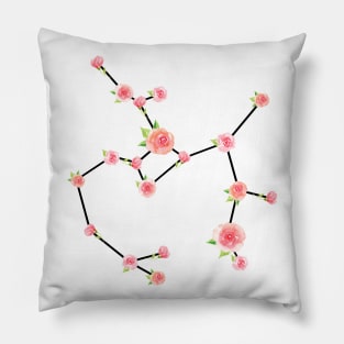 Zodiac Sign Sagittarius Pillow