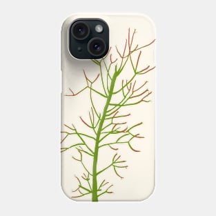 Pencil Cactus Phone Case