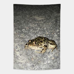 Goth Frog Tapestry