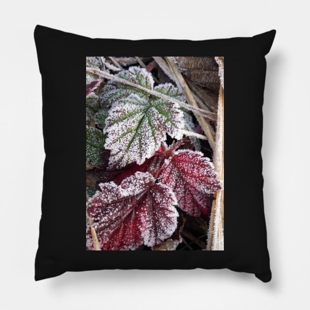 Peaceful Frosty Holiday Leaves Pillow by Photomersion