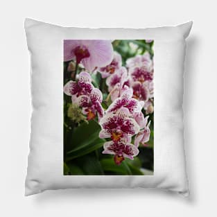 Orchids III Pillow