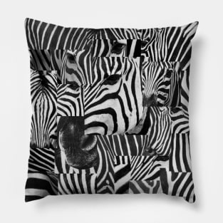 Zebra Freestyle Pillow