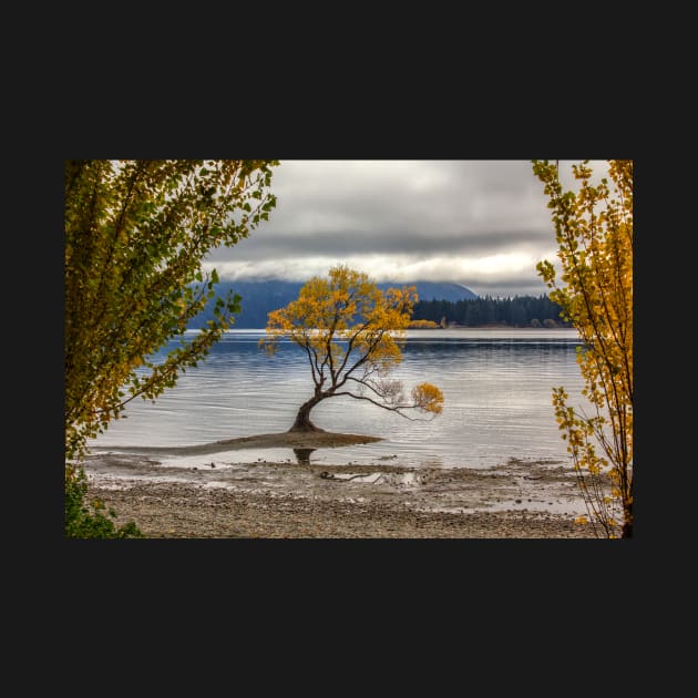 Wanaka Lake Tree 7 by charlesk