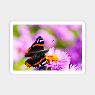 Red Admiral Butterfly Magnet