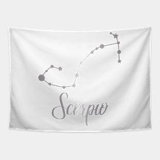 Scorpio Zodiac Constellation in Silver Tapestry