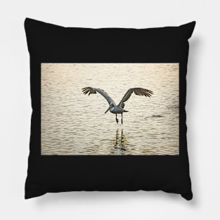 Take Flight Pillow