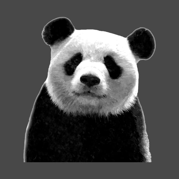 Black and White Panda by Alemi