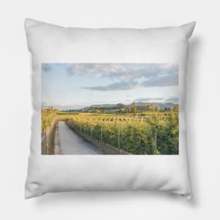 Trail Through Orchards and Vineyards in Summer Pillow