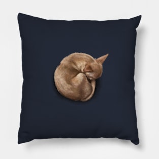 The Sleeping Chihuahua Pillow