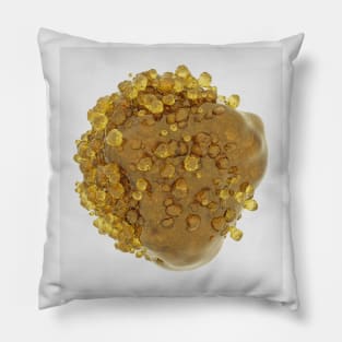 Amber cristal Pillow