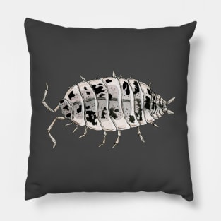 Porcellio laevis "Dairy Cow" Isopod Pillow