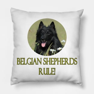 Belgian Shepherds Rule! Pillow