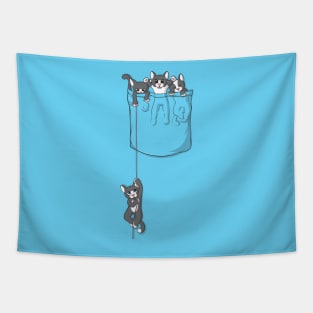 Pocket Kittens Tapestry