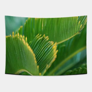 Tropical Palm Leaves Tapestry