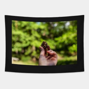 Hand holding pine cone Tapestry