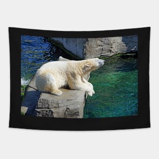 Polar Bear Tapestry