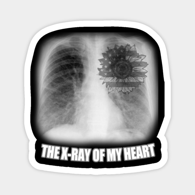 X Ray American Sunflower Sunflower Magnet Teepublic