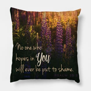 No one who hopes in You will ever be put to shame, Lord. Pillow