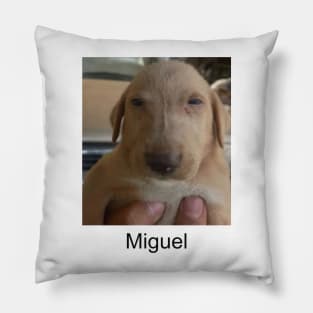 Miguel meme shitpost unisex Pillow