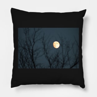 Howl at the Moon Pillow