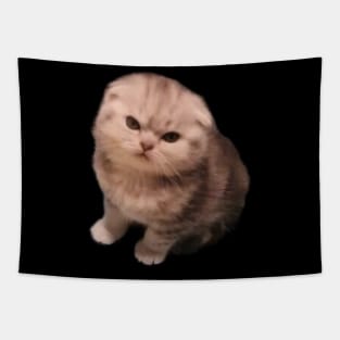 Angry Cat Tapestry