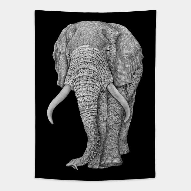 African elephant Tapestry by Tim Jeffs Art