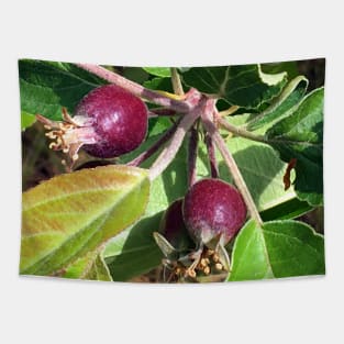 Budding Fruit Tapestry