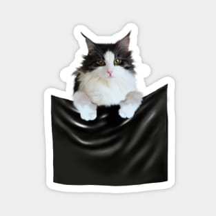 Ragamuffin Cat, Funny Cat Inside Pocket Magnet