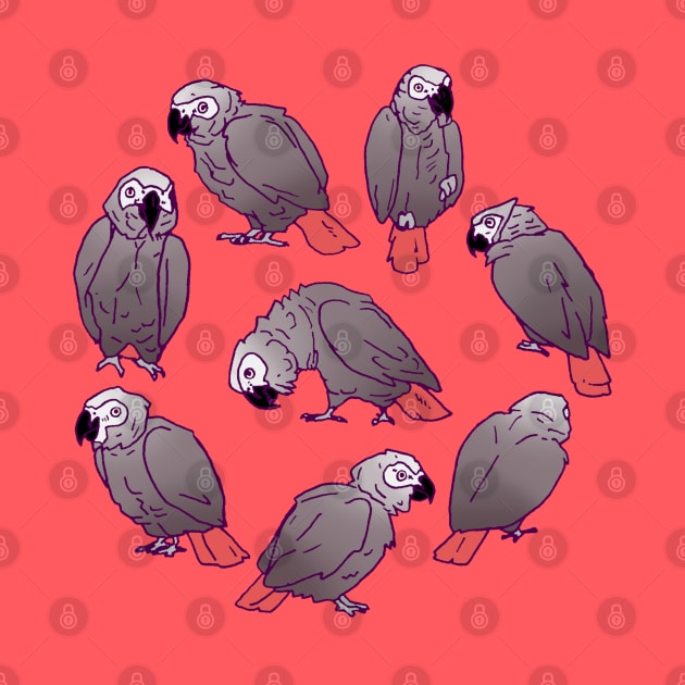 African Grey Parrot Flock by Einstein Parrot