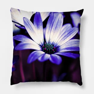 Indigo and Magenta Floral Art Pillow