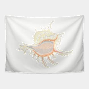 Shell Tapestry