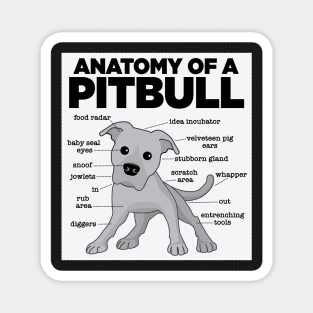 Anatomy of a Pitbull Magnet