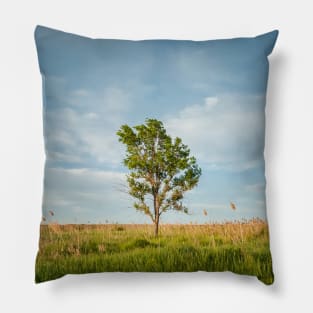 solitary tree in the meadow Pillow