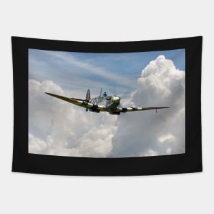 Spitfire Portrait of a Hero Tapestry