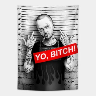 Jesse Pinkman You knew this would happen Tapestry