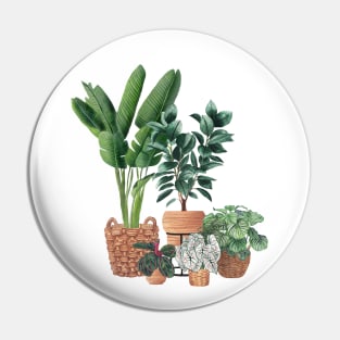 House Plants 10 Pin