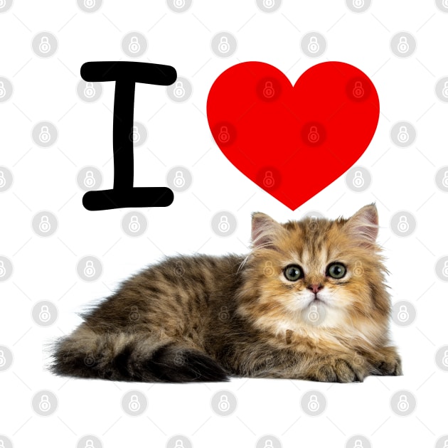 I HEART FLUFFY TABBY PERSIAN CAT by EmoteYourself