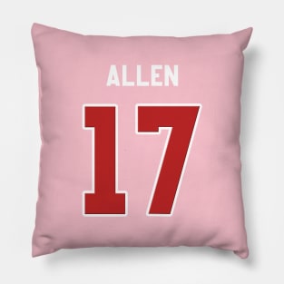 Allen 17 Pillow