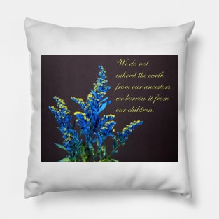 Earth day Pillow