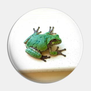 Angel Frog Pin