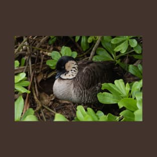 Closeup of a resting Nene goose, Kauai, Hawaii T-Shirt