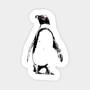 African Penguin Colour Magnet