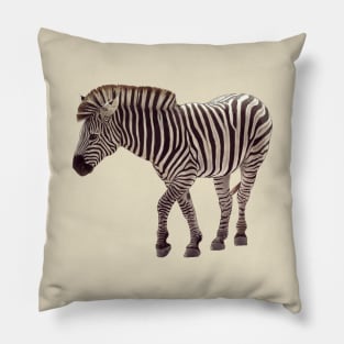 Zebra Pillow