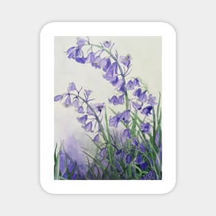 Bluebells watercolour painting Magnet