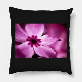 Pink Dwarf Phlox flower Pillow